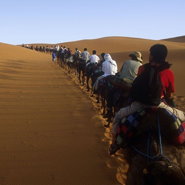 Sahara Desert Safari Tour