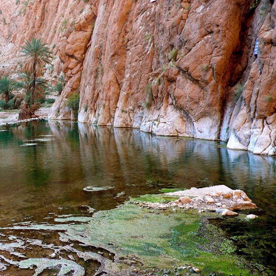 Todra Gorge One Day Tour