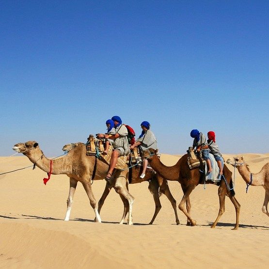 Sahara Desert 4 Day Tour Marrakech to Mhamid