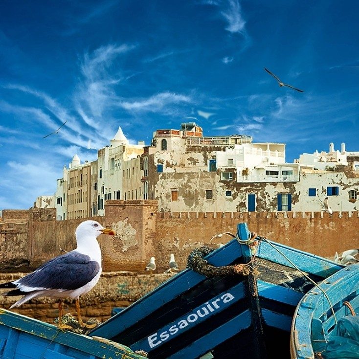 Morocco's Seaside Cities & Medinas